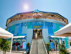 Tickets to Phuket Dolphin Show for Foreign Travelers